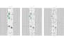 redraw your floor plan in autocad